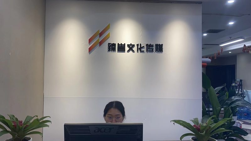 MG动画与Flash：动画制作中的双剑客，如何选择？**