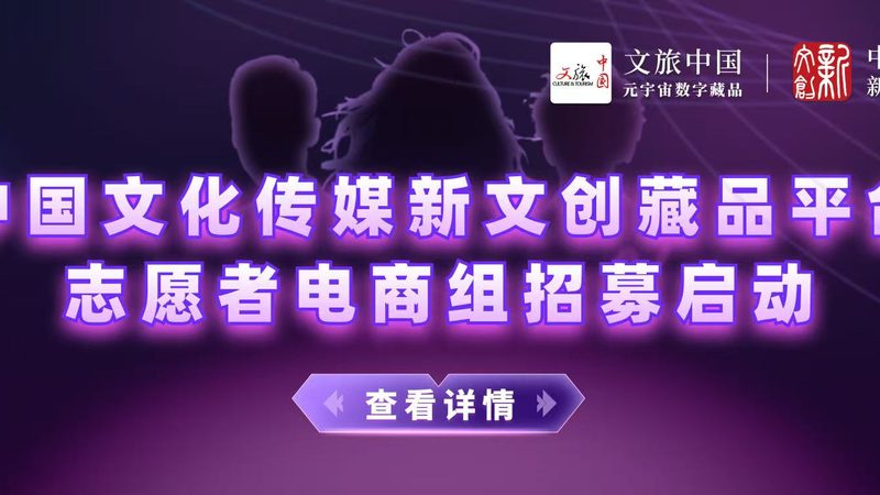 新媒体媒介投放代理流程揭秘：从策略制定到效果评估