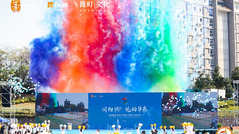 动画制作：三维与二维，一场视觉艺术的对话